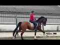 Download Lagu Perfect Present (Blue Hors Farrell X Apache)