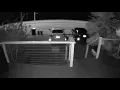 WSB reader Mailbox prowler