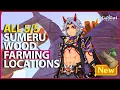 All 5 Sumeru Wood Locations Genshin Impact Brightwood Karmaphala Adhigama Mountain Date Athel