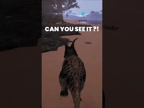CAN YOU SEE IT ?!