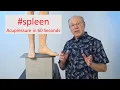 Download Lagu Strengthen the Spleen