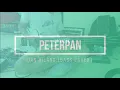 Download Lagu Peterpan [NOAH] - Dan Hilang [Bass Cover]