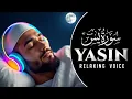 Surah Yasin | Yaseen | Mishary Rashid Alafasy | with arabic text | Ep-65