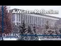 A Winter Reflection Daemen College
