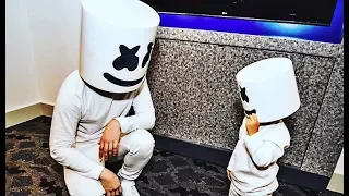 marshmello cute moments mini mello mini fans 