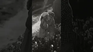 حنين الشاطر سيده قلبى 