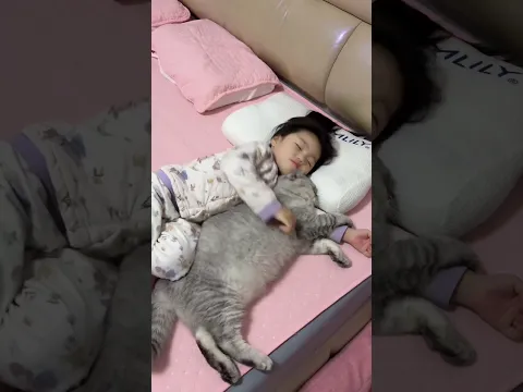 This Cat’s Love Is Unstoppable ❤️#shorts #shortsfeed #shortvideo