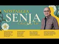 Download Lagu Ebiet G. Ade - Album Nostalgia Senja Ebiet G. Ade | Audio HQ