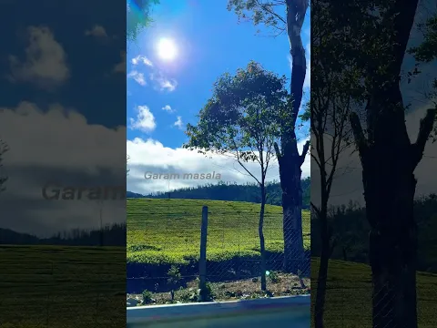 Way to 20 Kms “Mukuruthi Trekking” @ Ooty