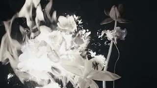 TRAGELUXE (SUPER SLOWED)