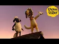 Download Lagu Shaun the Sheep 🐑 Season 2!!!  - Cartoons for Kids 🐑 Full Episodes Compilation [4 hour]