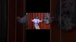 قسمه ونصيب التركي 