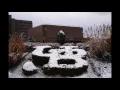 university of buffalo