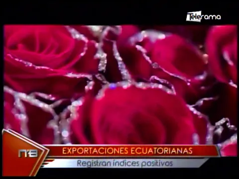Exportaciones ecuatorianas registran índices positivos