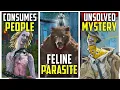 The Story Behind EVERY Killer s Most Disturbing Cosmetic Dead by Daylight
