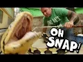LETTING MY 20 FOOT PYTHON SNAKE LOOSE GONE WRONG BRIAN BARCZYK