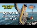 Lagu How To Catch Monster King George Whiting