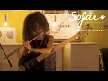 Download Lagu Tahereh Nourani - Kali | Sofar Linz