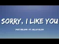 Download Lagu Post Malone - Sorry, I Like You (Lyrics) ft. Billie Eilish