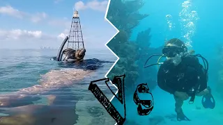Snorkeling Vs SCUBA