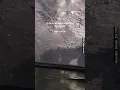 Download Lagu Janda Mana Yang Menyakiti Mu Bang ?? xD