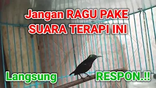Download TERAPI KONIN SUARA AIR ||KONIN BAHAN LANGSUNG GACOR DENGER INI. MP3