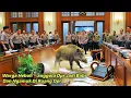 Download Lagu RAKYAT HEBOH‼️ANGGOTA DPR TIBA TIBA BERUBAH MENJADI BABI DAN NGAMUK DI GEDUNG DPR