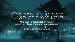 Most Beautiful And Peacefull Heart Touching Quran Reaction Abdul Rahman Mossad Haven Voice 