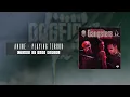Download Lagu AniMe - Playing Terror (Tears of Fury Remix)