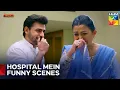 Download Lagu Family Ne Shahana Ko Bewakuf Banaya | Suno Chanda Episode 14