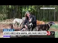 State hires Vermont animal welfare director