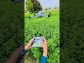 Download Lagu dji air 3s drone ##shorts #short #dronevideo #subscribe