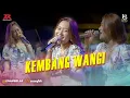 Download Lagu Vita Alvia - KEMBANG WANGI || NEW RAXZASA (Live Kedunen, Blimbingsari)