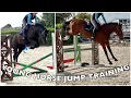 BIG DAY OUT FOR THE YOUNG HORSES