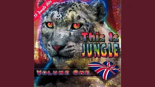jungle interlude dover dub 