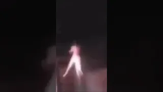 Femboy shit posts using THERUSSIANBADGER S shit post