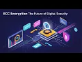 Elliptic Curve Cryptography ECC Foundations Applications and Quantum Future
