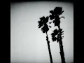 Teenage Wristband - The Twilight Singers