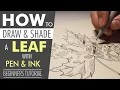Download Lagu How to Draw and Shade a Leaf | Beginners Tutorial