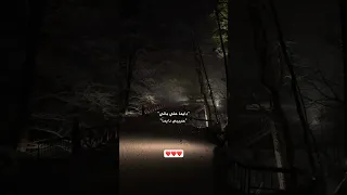 دايما علي بالي حبيبي دايما صورتك في خيالي اليسا 