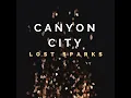 Lost Sparks