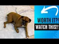 Review of Reusable Puppy Pad - Waterproof