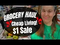 Download Lagu AMAZING $1 GROCERY HAUL, YOU WON'T BELIEVE IT!