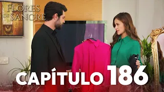 Flores De Sangre Capítulo 186 Kan Cicekleri Subtítulos En Español 