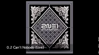 Download (Live) Fire, Can't Nobody, Let's Go Party - 2NE1 (NOLZA Concert) MP3