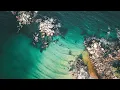 Reggae music with wild Beach images chill summer vibes