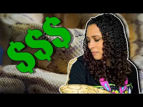 Download MP3 The Cost of Owning a Ball Python