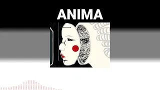 Summary 01 Anima Interface And Vessel Mechanics 