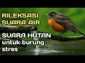Download Lagu 1JAM TERAPI BURUNG SUARA HUTAN ANTI-STRES suara alam Liar dan suara  gemericik air Mengalir