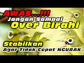 Download Lagu Birahi Stabil, Burung Tidak Gampang Stres #kecialkuninggacor #kecialkombok #kecialngejos